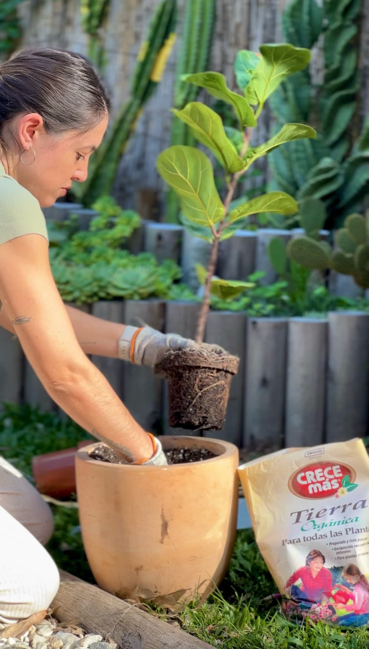 Colaboración de BondiHouse con Denucio para el cuidado de plantas y productos del Bondi