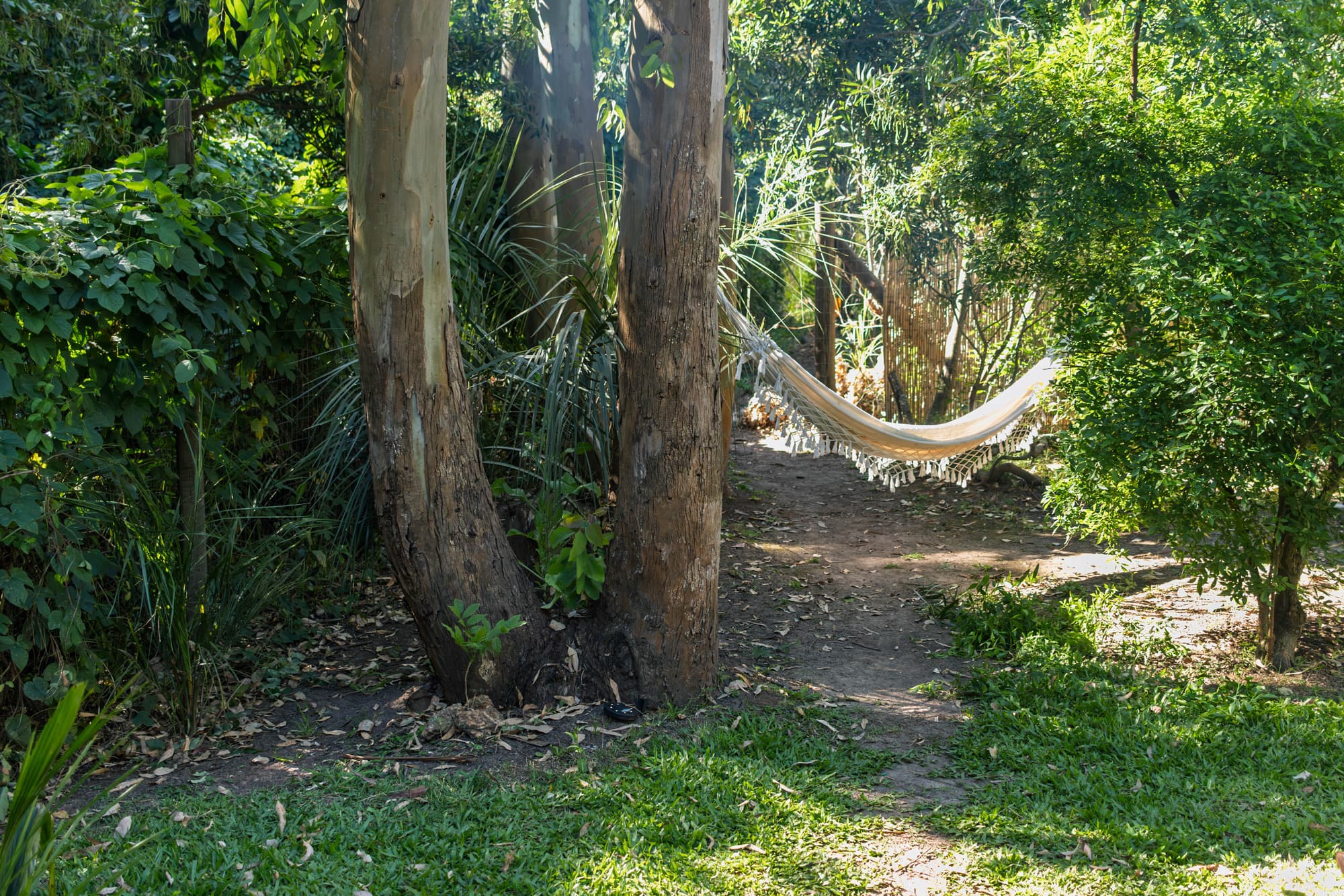 Entrada a BondiHouse desde el jardín rodeado de bosque nativo