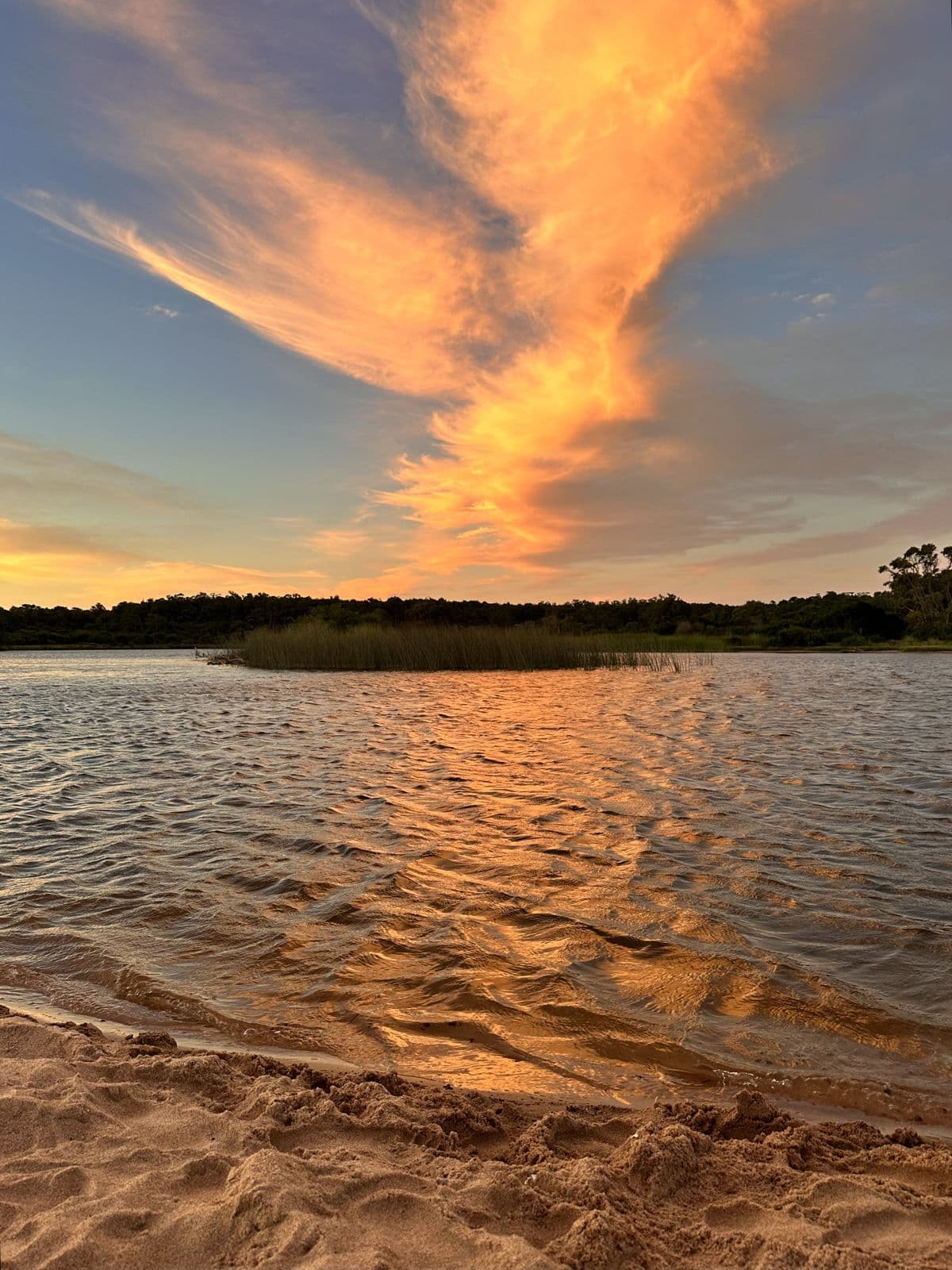 Sunset at Arroyo El Potrero: orange clouds reflected in the water, with the sandy bank and the woods behind