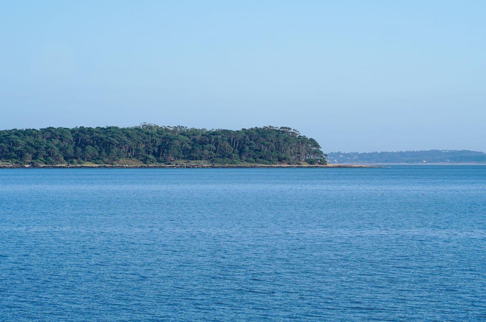 La Isla Gorriti cubierta de pinos, vista desde Punta del Este a través del mar