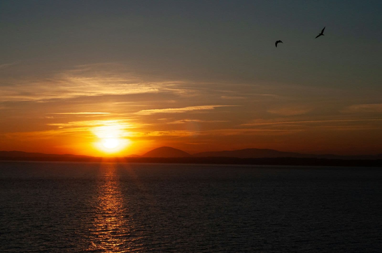 Atardecer desde Punta Ballena: el sol cae sobre el mar, con los cerros de fondo y dos gaviotas volando