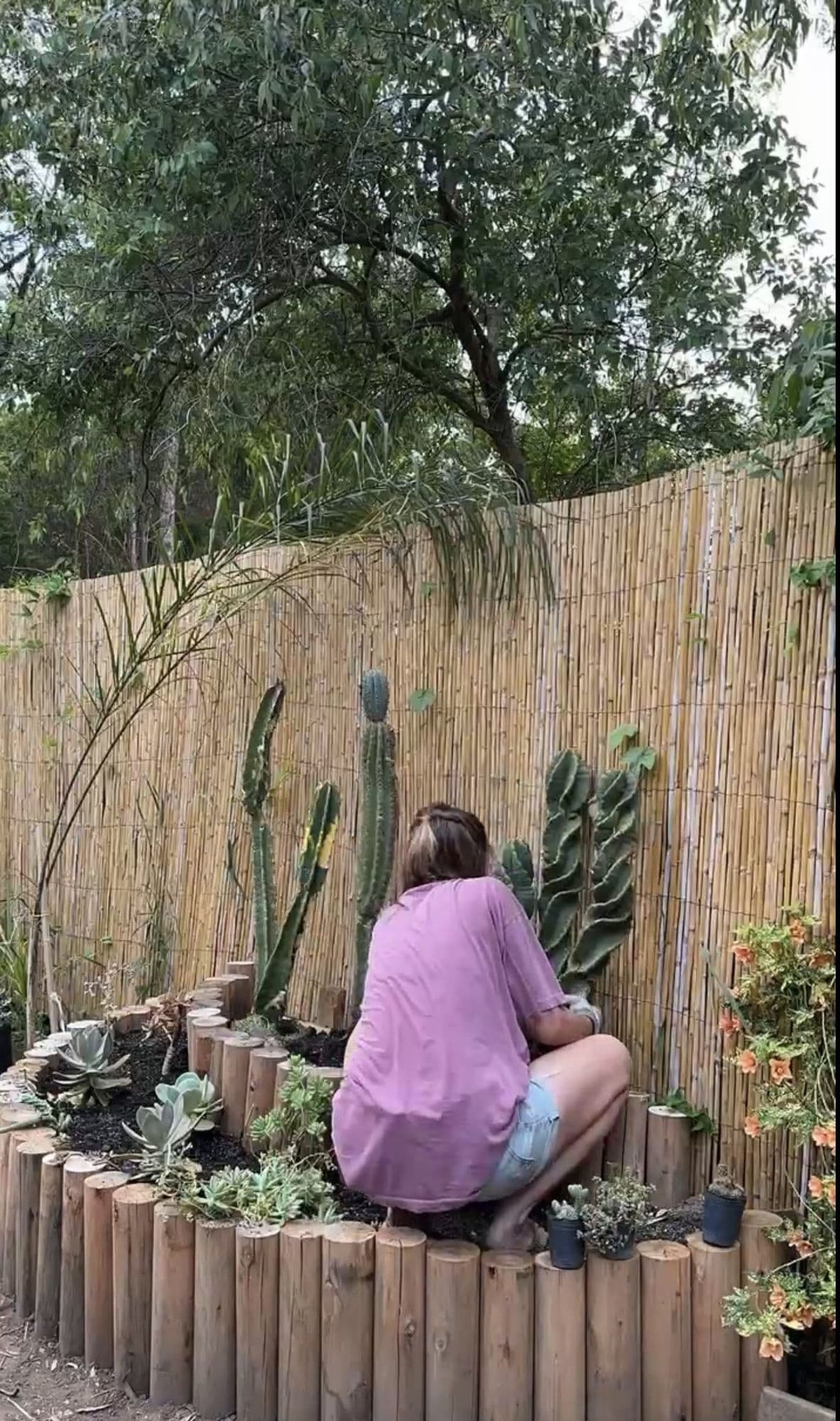 Agus plantando cactus y suculentas en el cantero circular del Bondi, con borde de troncos