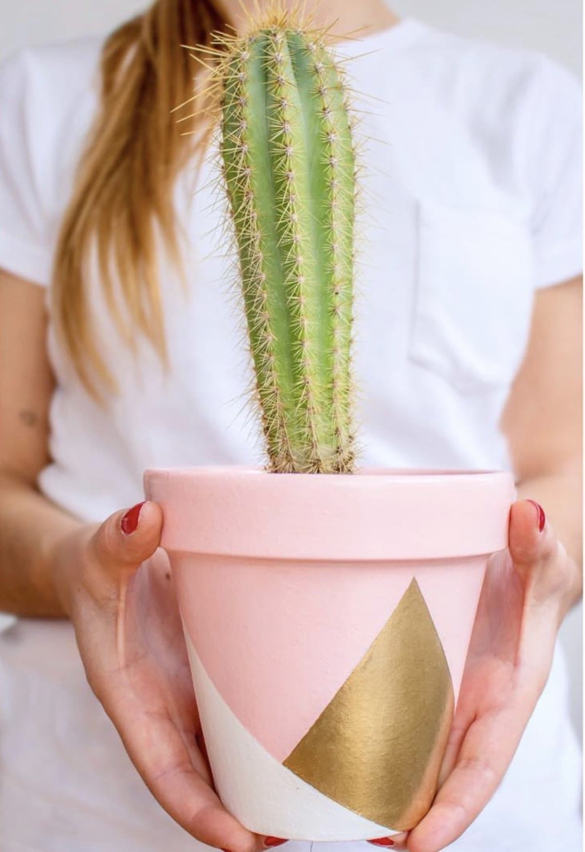 Agus sosteniendo una maceta rosa y dorada de AgusTunitas con un cactus columnar