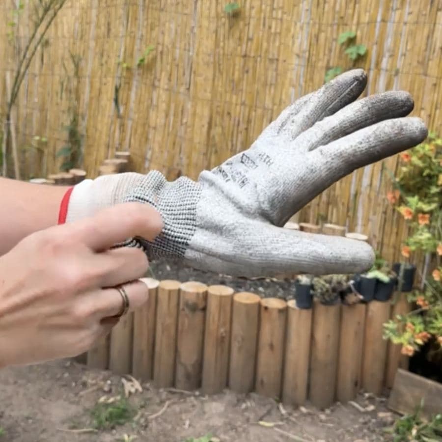 Una mano mostrando dos pares de guantes, uno arriba del otro, frente al cantero