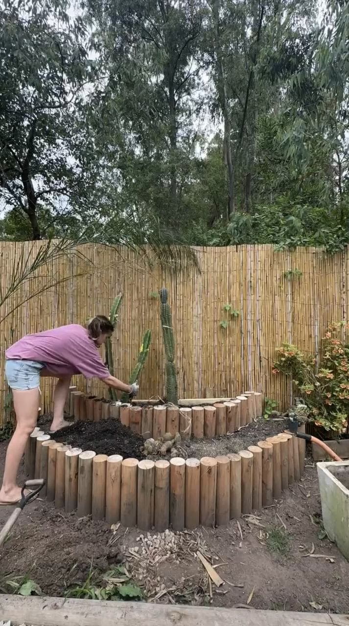 Agus plantando los cactus columnares en el nivel de atrás, contra el cerco de caña