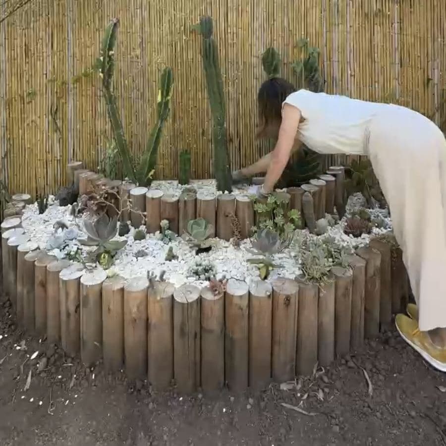 Agus poniendo las piedritas blancas entre las suculentas del cantero