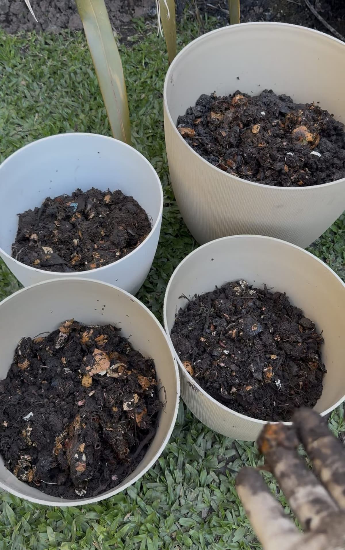 Cuatro macetas grandes con compost, listas para los girasoles